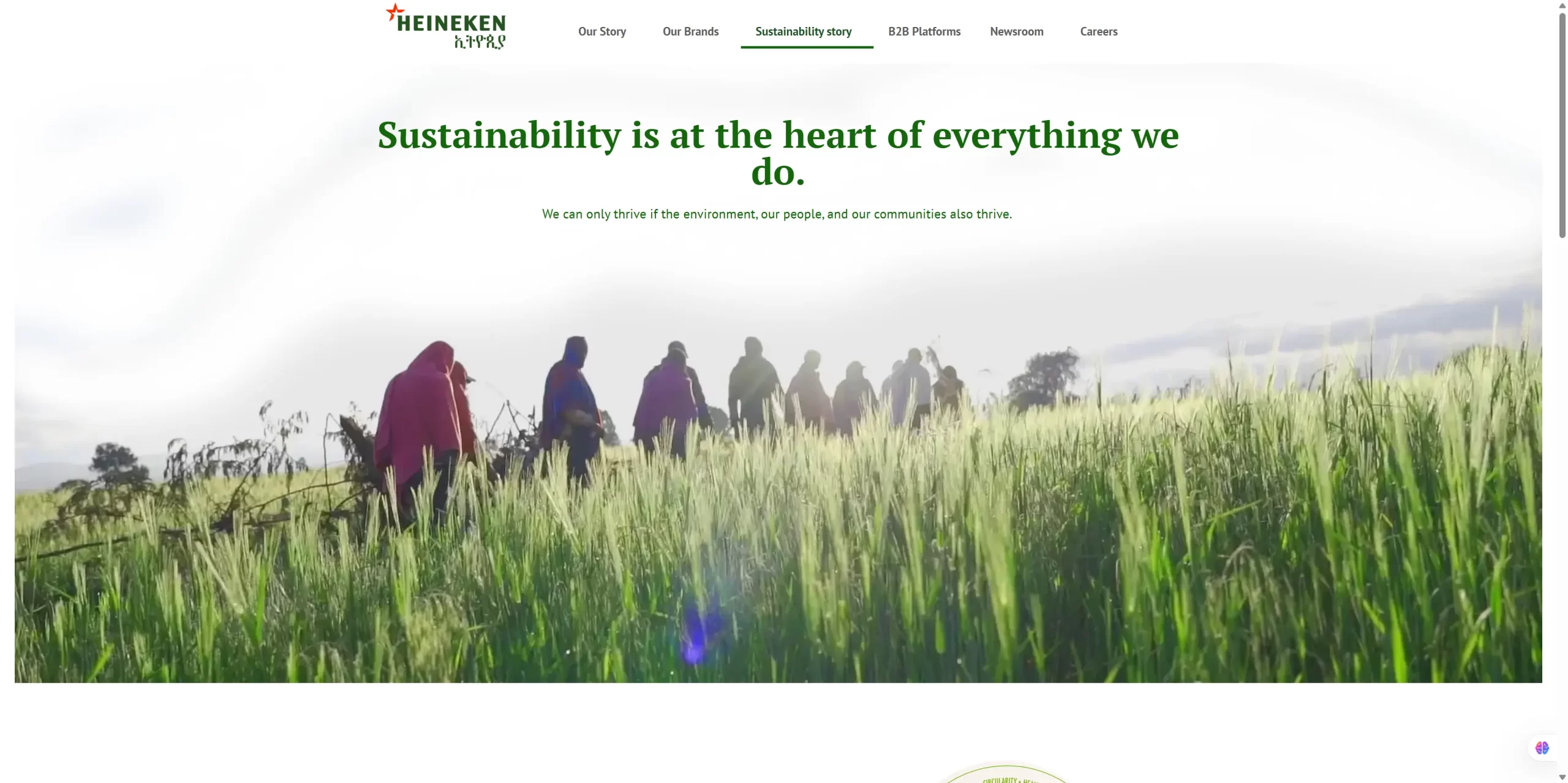 Heineken Ethiopia website design and development